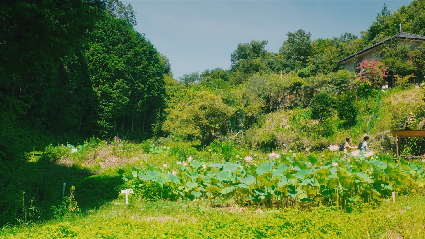 「光る校庭」場面写真
