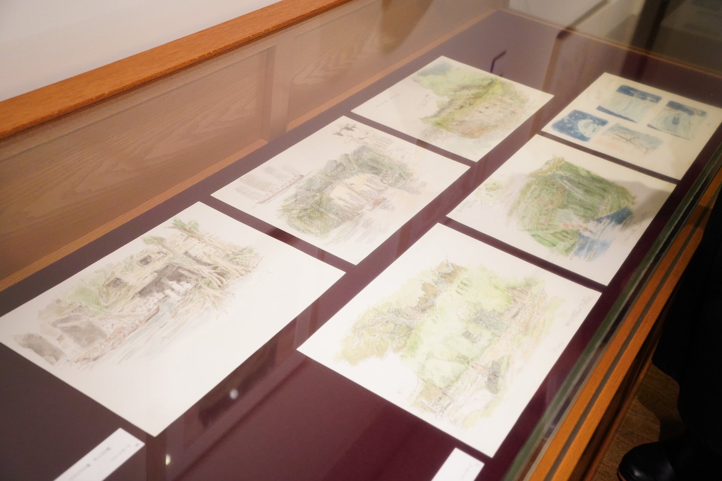 「君たちはどう生きるか」展より、「ワラワラの森」イメージボード。(c) Museo d'Arte Ghibli (c)Studio Ghibli