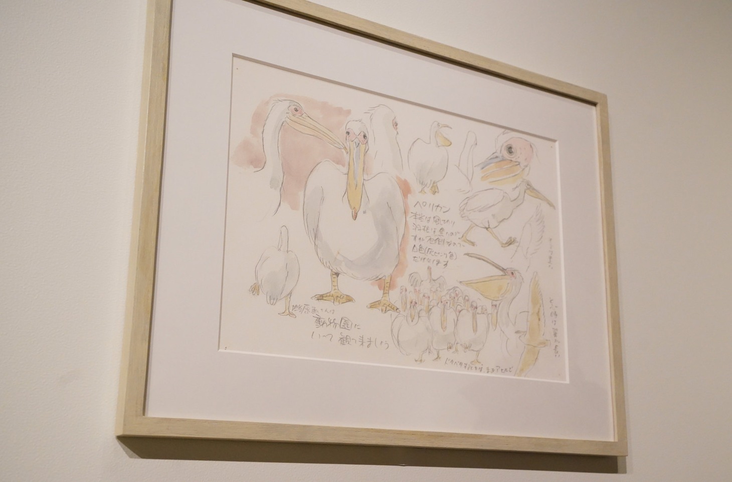 「君たちはどう生きるか」展より、ペリカンのキャラクター設定画。(c) Museo d'Arte Ghibli (c)Studio Ghibli