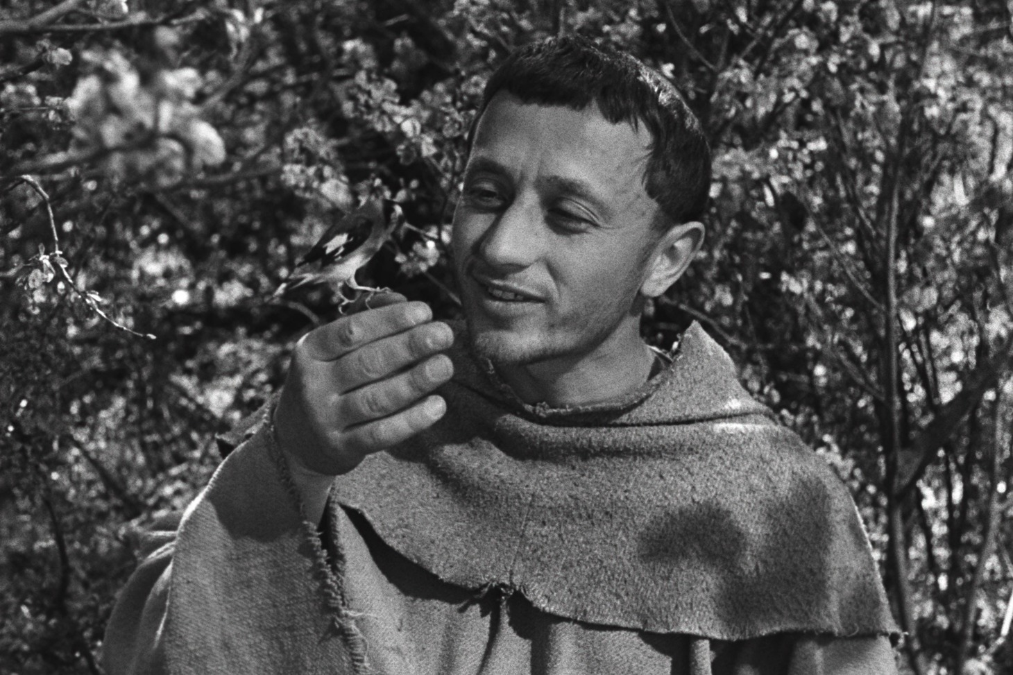 「神の道化師、フランチェスコ（デジタル・リマスター版）」場面写真