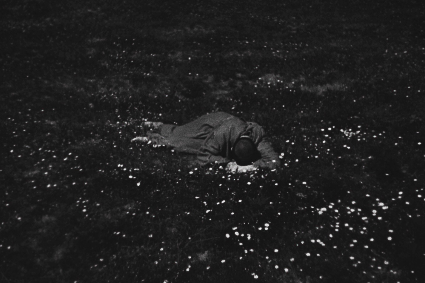 「神の道化師、フランチェスコ（デジタル・リマスター版）」場面写真