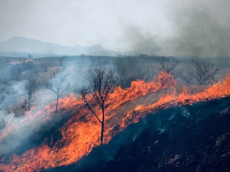 短編映画「シキ」場面写真