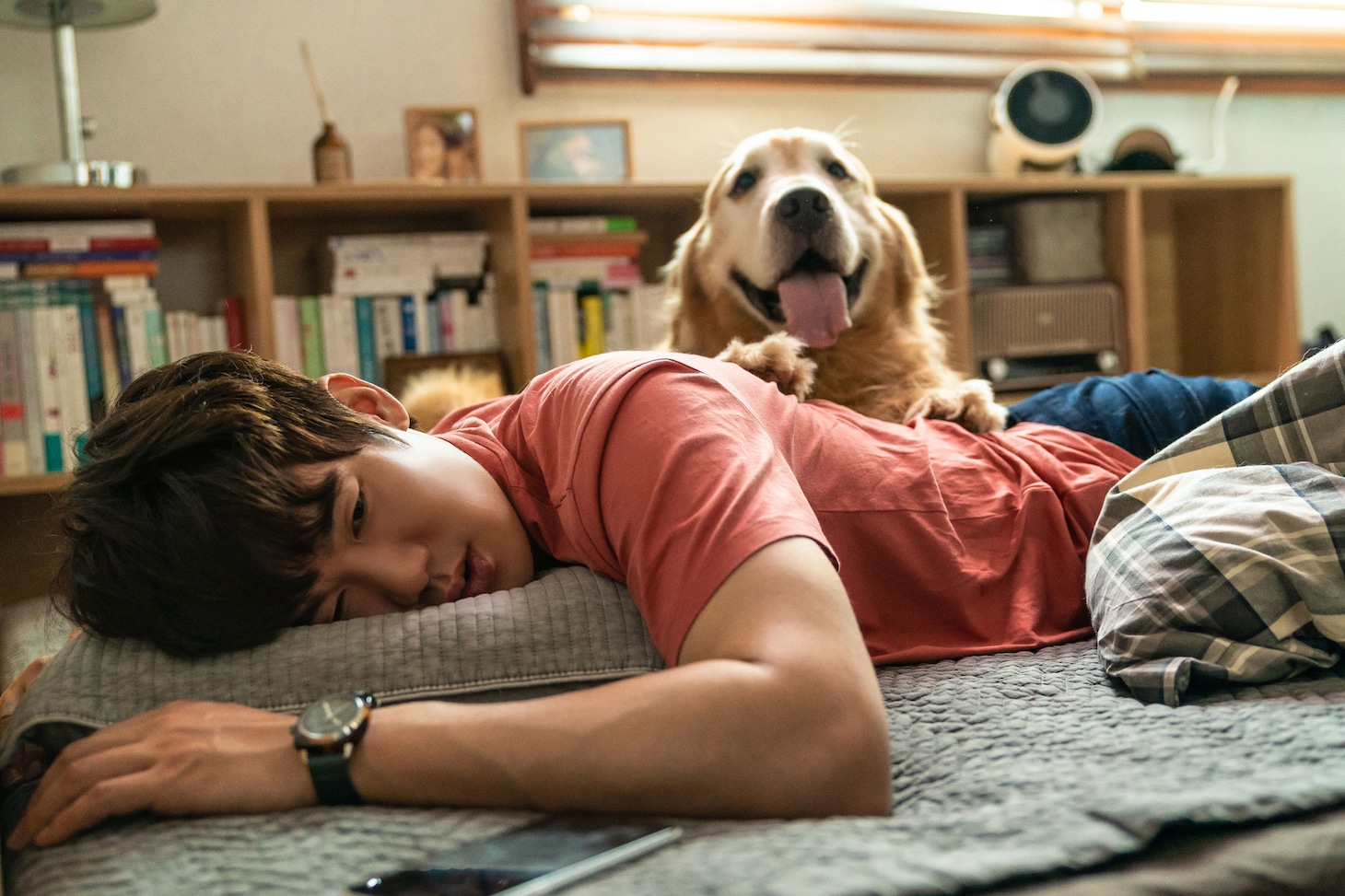 韓国映画「マイ・ハート・パピー」場面写真