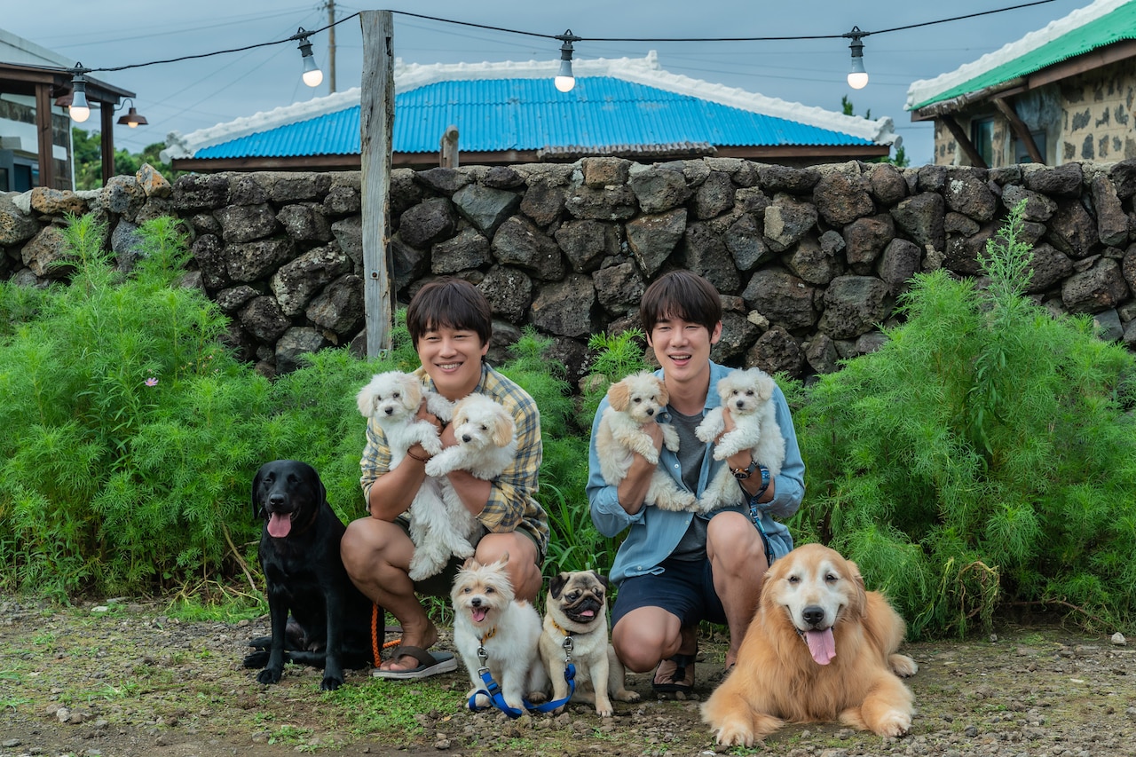 マイ・ハート・パピー | あらすじ・内容・スタッフ・キャスト