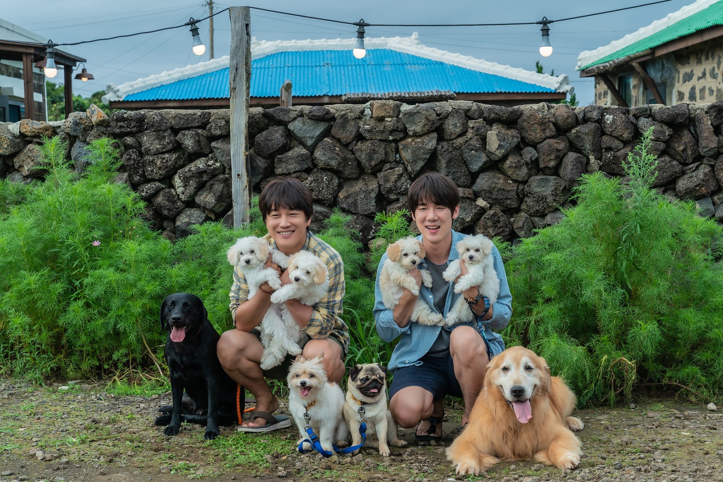 韓国映画「マイ・ハート・パピー」場面写真