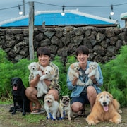 韓国映画「マイ・ハート・パピー」ユ・ヨンソクの来日が決定、ファンミーティングも