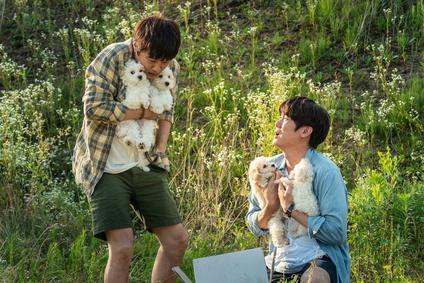 韓国映画「マイ・ハート・パピー」場面写真
