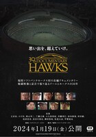 「思い出を、超えていけ。30th Documentary HAWKS」ポスタービジュアル