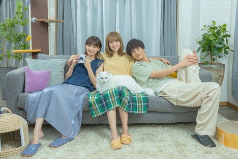映画「三日月とネコ」場面写真