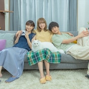 安達祐実、倉科カナ、渡邊圭祐が共同生活 猫マンガ大賞「三日月とネコ」実写映画化