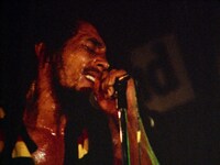 「ボブ・マーリー ラスト・ライブ・イン・ジャマイカ レゲエ・サンスプラッシュ」場面写真