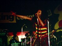 「ボブ・マーリー ラスト・ライブ・イン・ジャマイカ レゲエ・サンスプラッシュ」場面写真