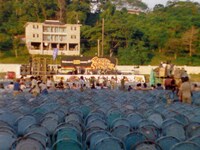 「ボブ・マーリー ラスト・ライブ・イン・ジャマイカ レゲエ・サンスプラッシュ」場面写真