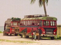 「ボブ・マーリー ラスト・ライブ・イン・ジャマイカ レゲエ・サンスプラッシュ」場面写真