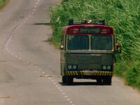 「ボブ・マーリー ラスト・ライブ・イン・ジャマイカ レゲエ・サンスプラッシュ」場面写真