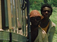 「ボブ・マーリー ラスト・ライブ・イン・ジャマイカ レゲエ・サンスプラッシュ」場面写真