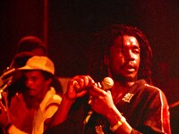 「ボブ・マーリー ラスト・ライブ・イン・ジャマイカ レゲエ・サンスプラッシュ」場面写真