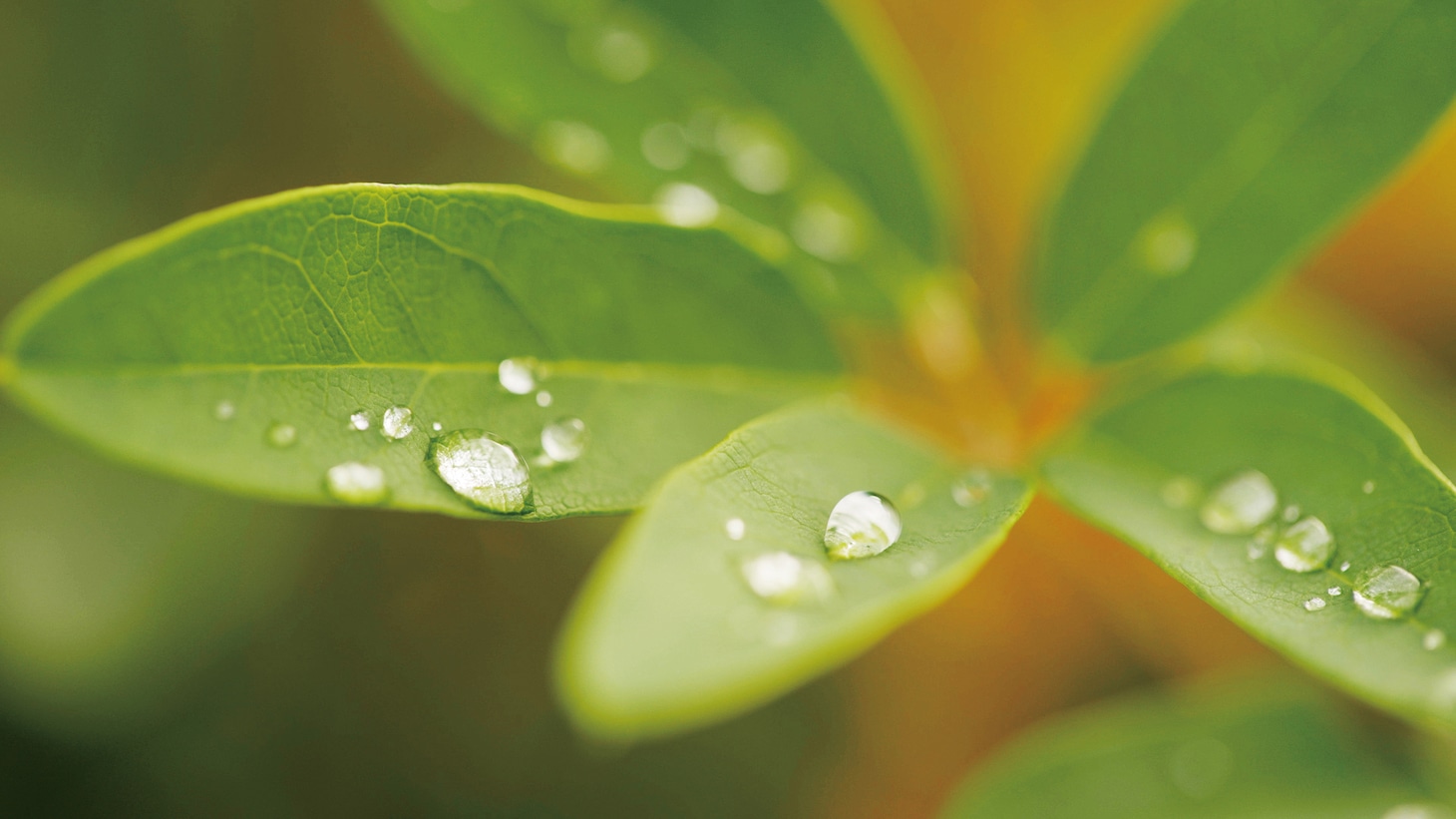 「グリーフケアの時代に」場面写真