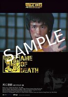 入場者特典の日替わりチラシ。