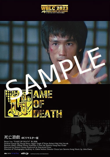 入場者特典の日替わりチラシ。