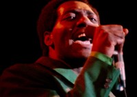 「MONTEREY POP モンタレー・ポップ」場面写真