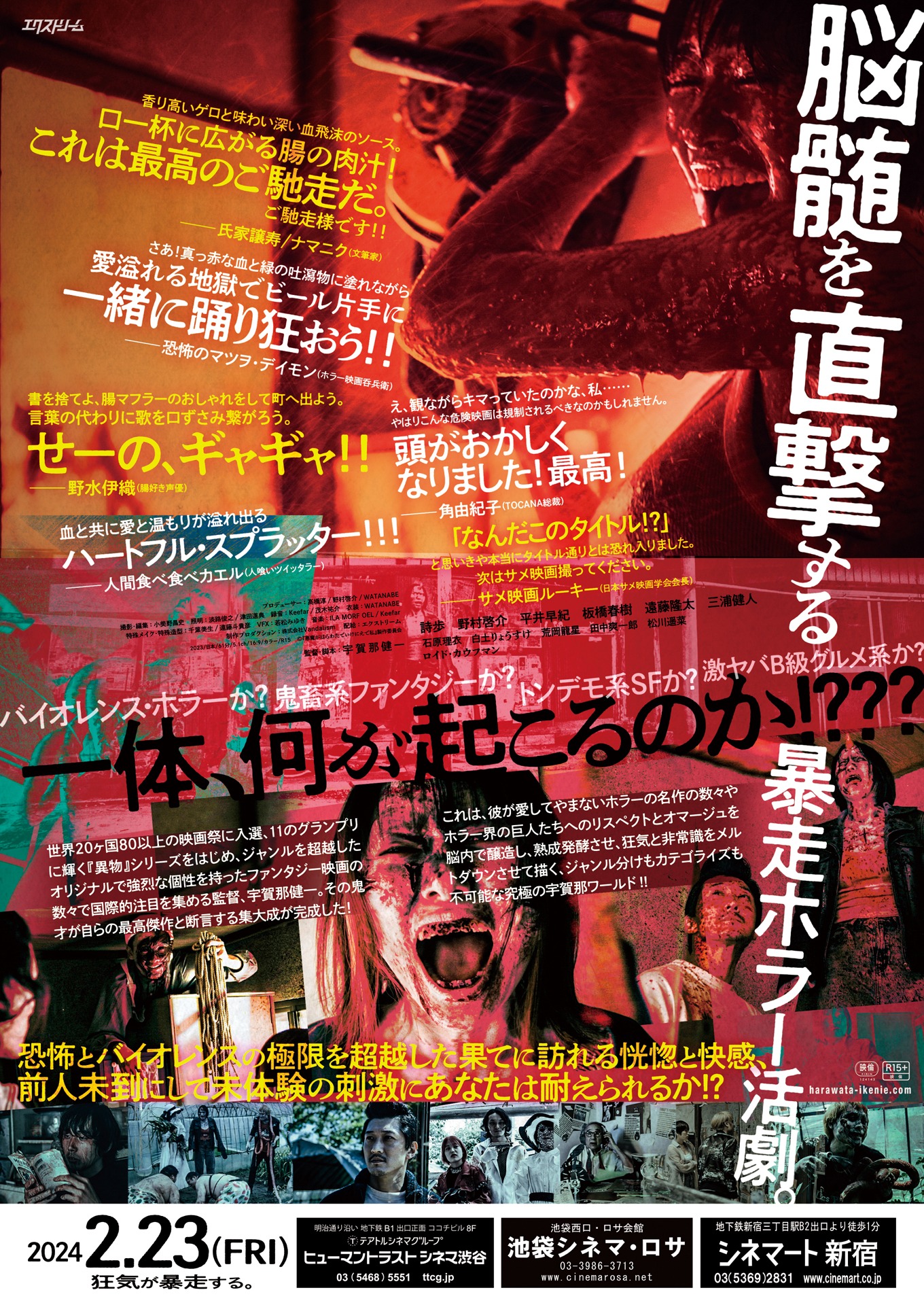 「悪魔がはらわたでいけにえで私」チラシ裏面