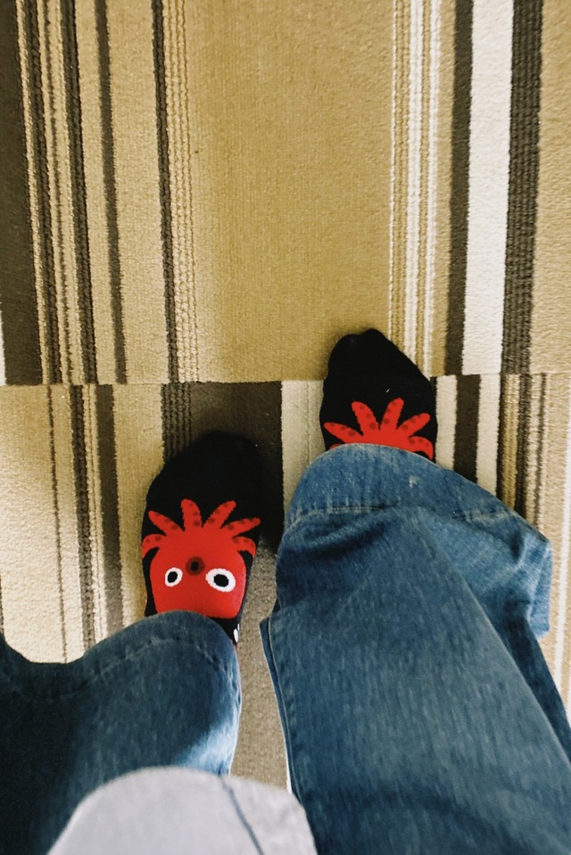 (写真提供:高石あかり)