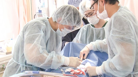 「その鼓動に耳をあてよ」場面写真