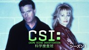 「CSI:科学捜査班」シーズン1ビジュアル