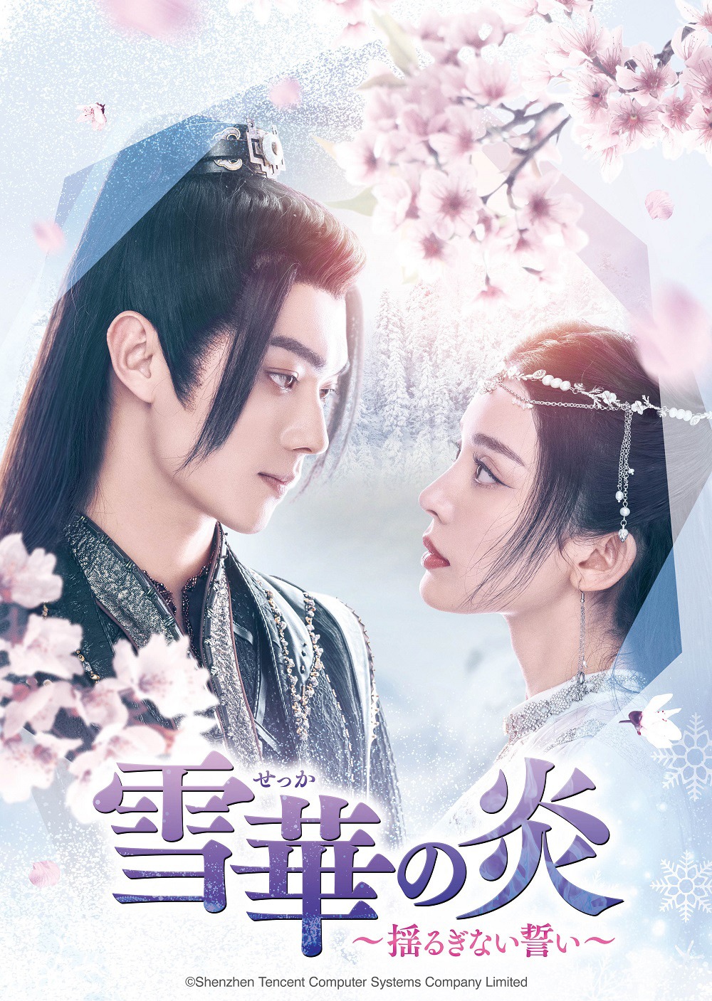 中国ドラマ「雪華の炎～揺るぎない誓い～」ビジュアル