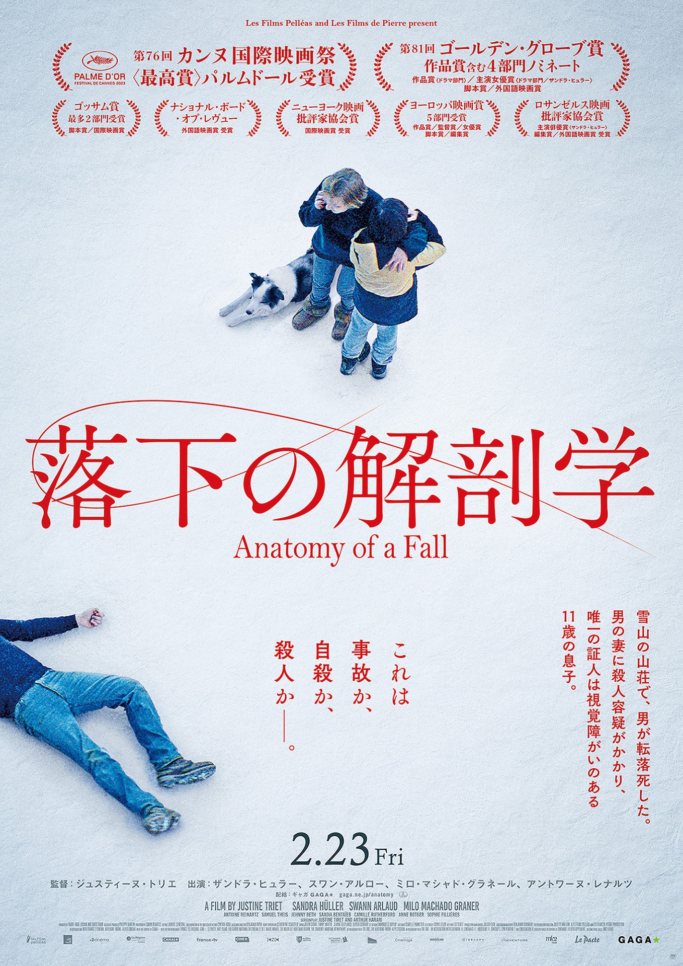「落下の解剖学」ポスタービジュアル (c)2023 L.F.P. – Les Films Pelléas / Les Films de Pierre / France 2 Cinéma / Auvergne-Rhône-Alpes Cinéma