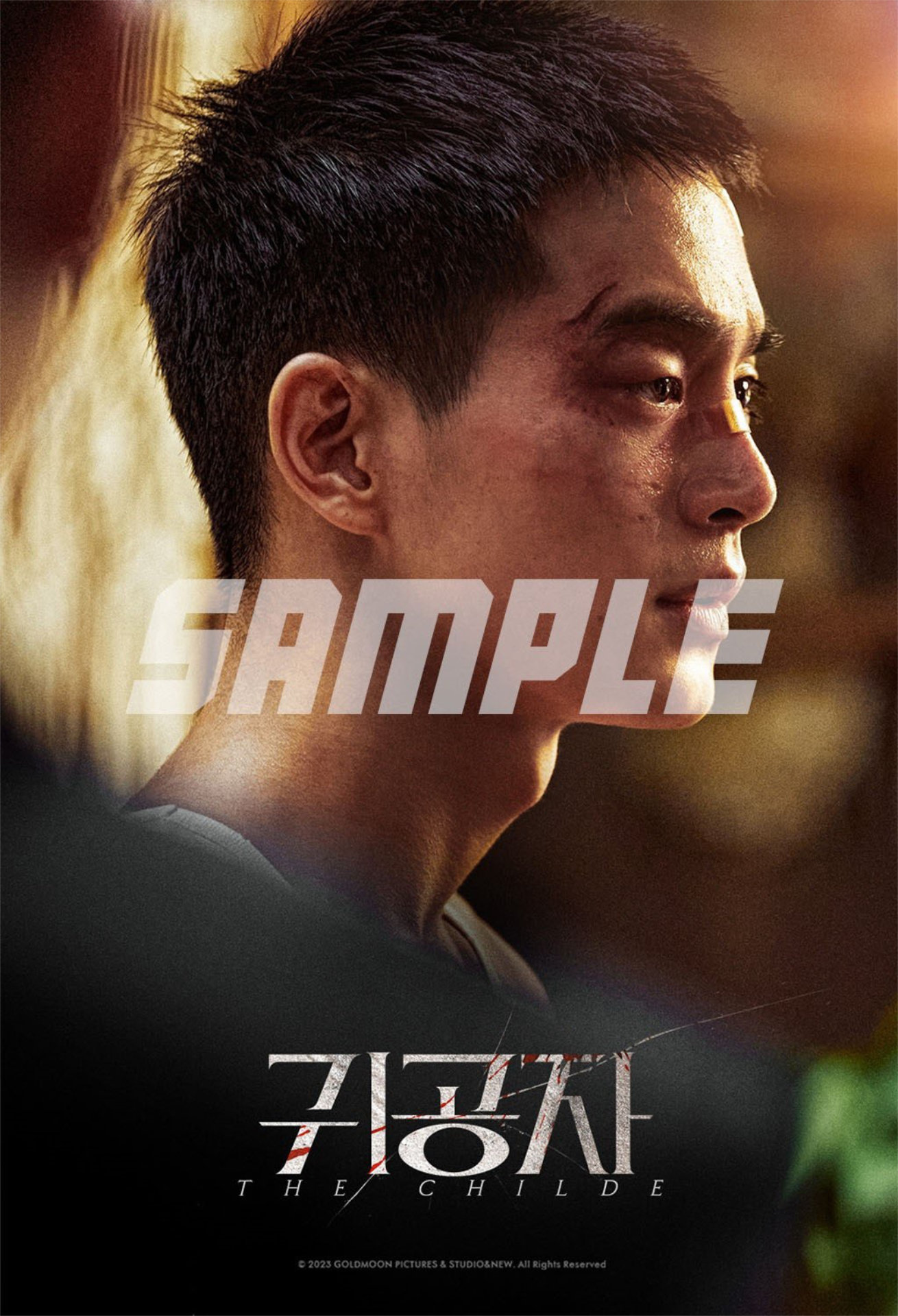 「貴公子」カン・テジュの映画前売り券付きブロマイド。