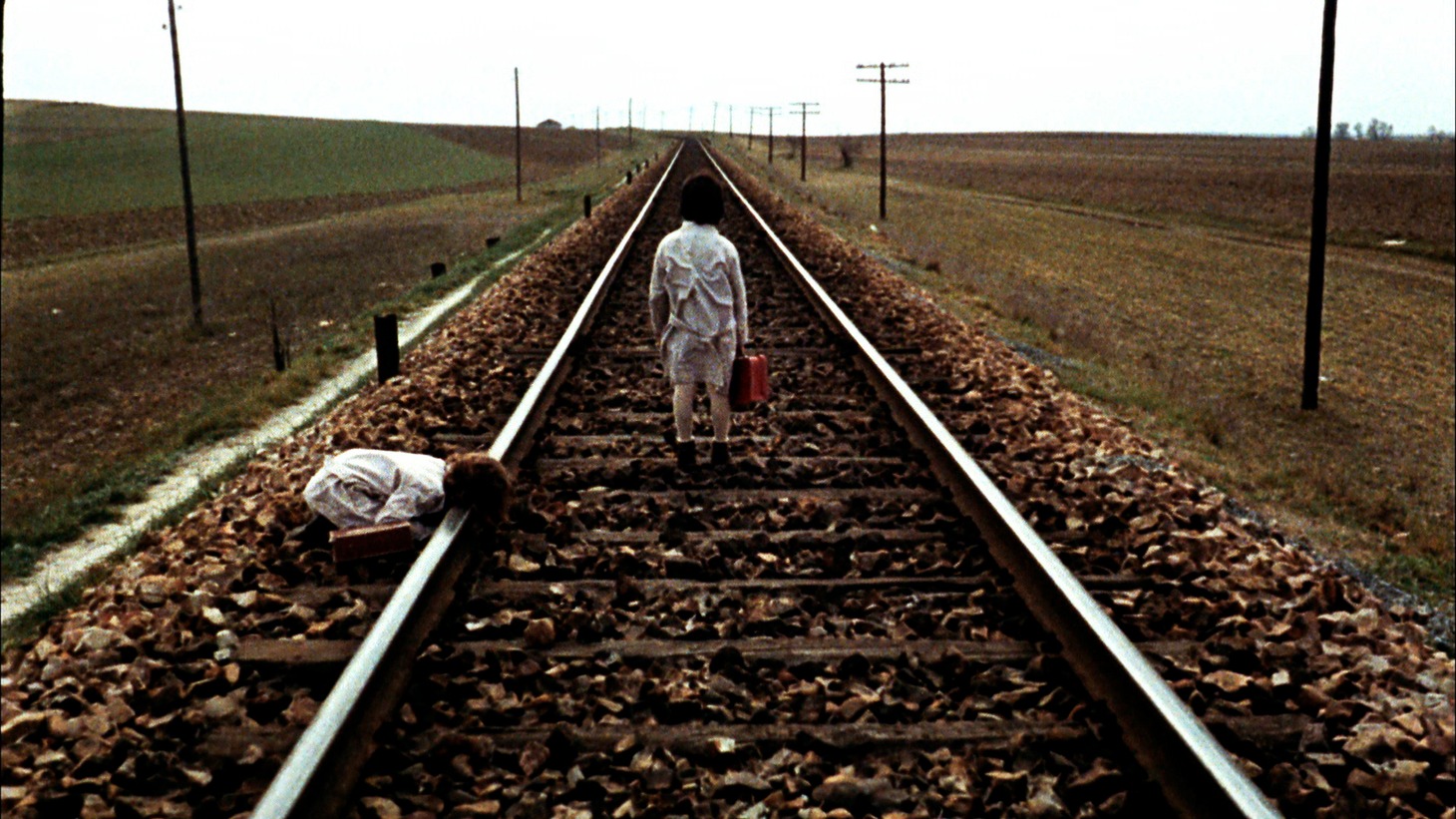 「ミツバチのささやき」場面写真 (c)2005 Video Mercury Films S.A.