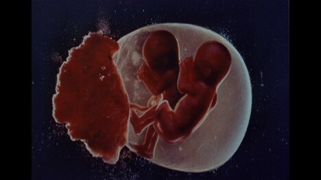 「悪魔のシスター デジタルリマスター版」新場面写真