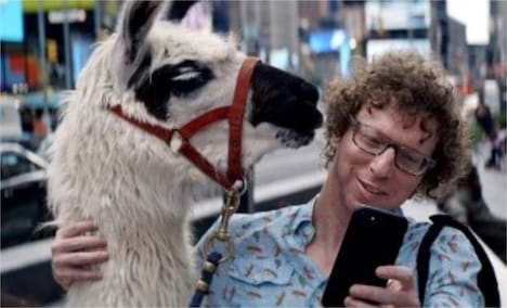ラマと自撮りする歩行者を演じる、原作者アーノン・グランバーグ。