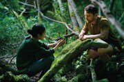 森に息づく苔から小さな生命を見出す、ベルギー映画「Here」予告解禁