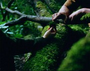 「Here」新場面写真 (c) Quetzalcoatl