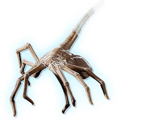 フェイスハガー