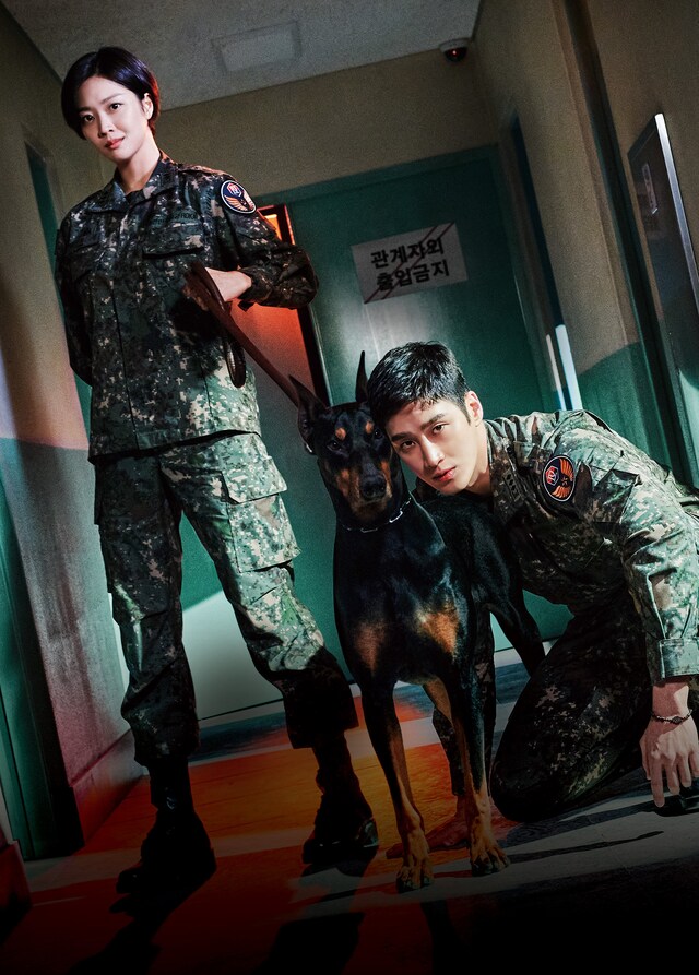 韓国ドラマ「軍検事ドーベルマン」ビジュアル