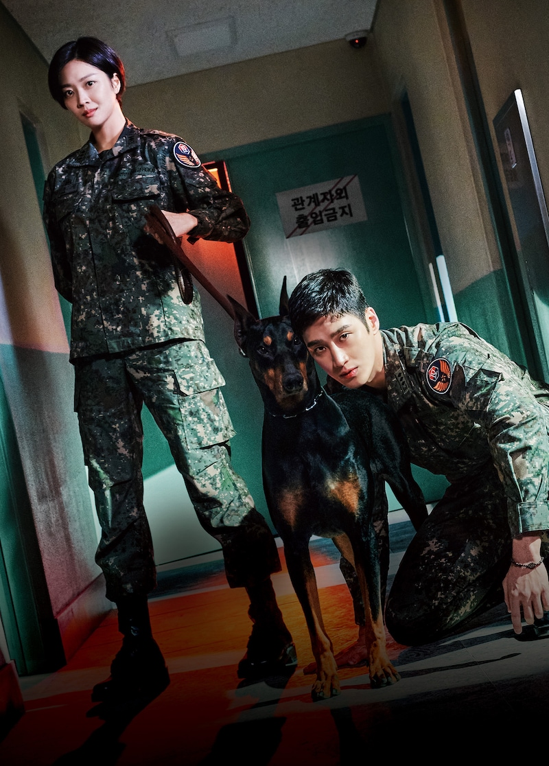 韓国ドラマ「軍検事ドーベルマン」ビジュアル