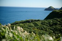 「舞倒れ」場面写真