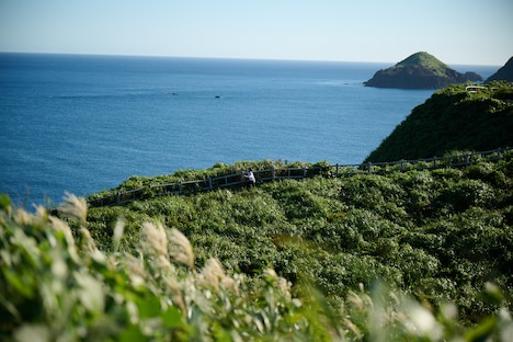 「舞倒れ」場面写真