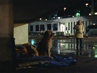 「ゴースト・トロピック」新場面写真