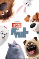 「ペット」ビジュアル