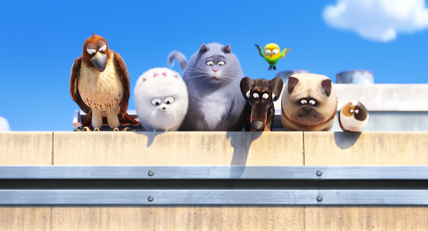 「ペット」場面カット