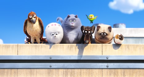 「ペット」場面カット