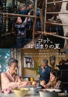 「コット、はじまりの夏」アザービジュアル
