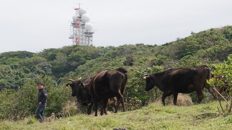 「戦雲 -いくさふむ-」場面写真