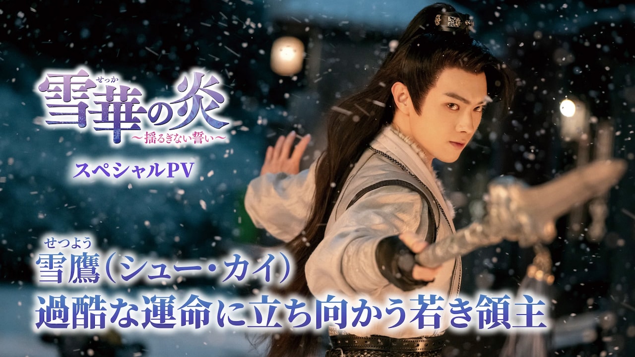 中国ドラマ「雪華の炎～揺るぎない誓い～」スペシャルPVより。