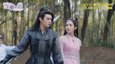 中国ドラマ「雪華の炎～揺るぎない誓い～」スペシャルPVより。